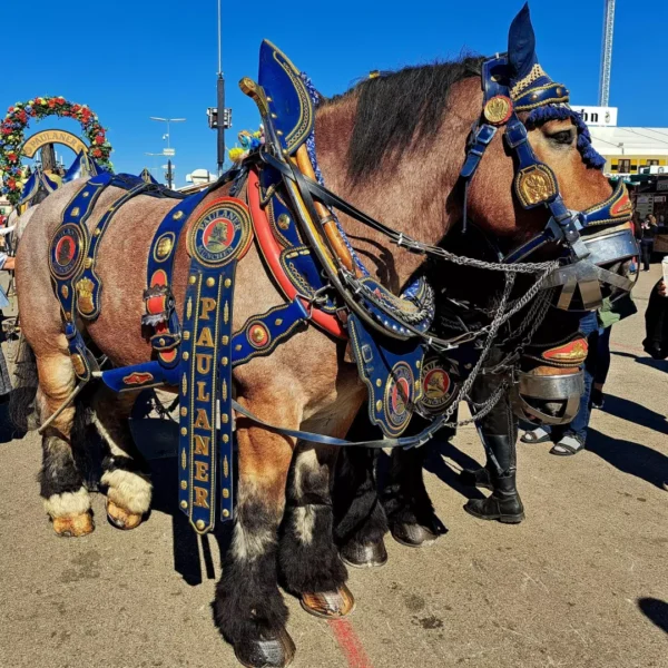 2025-oktoberfest_7